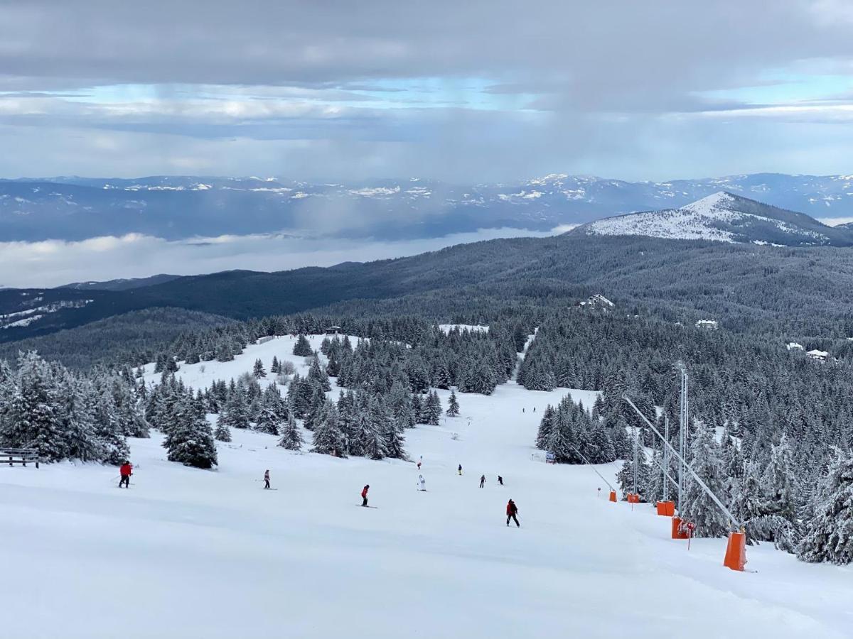 Ski & Spa Apartment S20 Milmari Resort Κοπαόνικ Εξωτερικό φωτογραφία